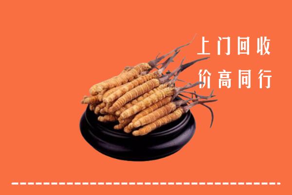 高价求购：阿克陶县回收散虫草