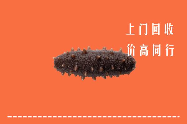 高价求购：阿克陶县回收海参